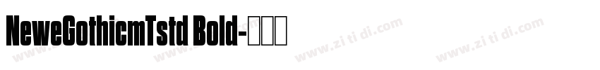 NeweGothicmTstd Bold字体转换